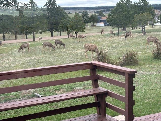 Image 5 of 50: No Description Available