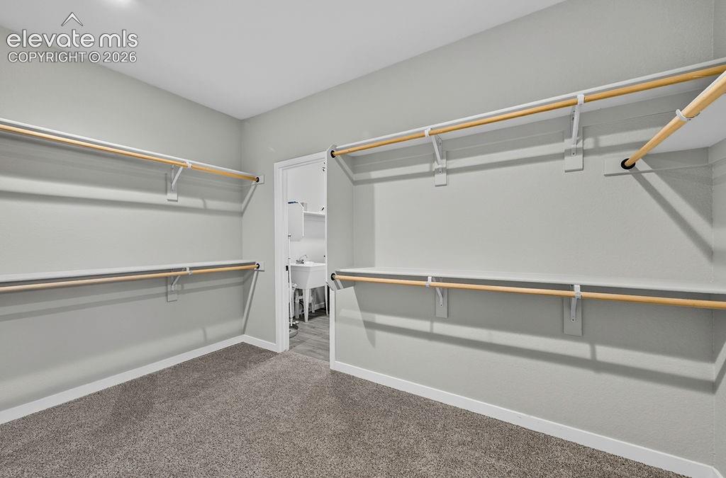 Image 32 of 47: Walk-in closet featuring carpet flooring, built-in shelving, and hanging ro