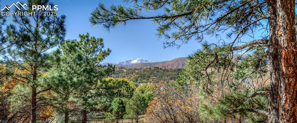 Image 29 of 33: View of mountain background featuring a heavily wooded area