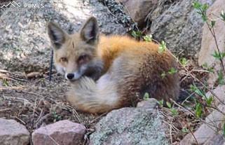 Image 32 of 33: Exterior view