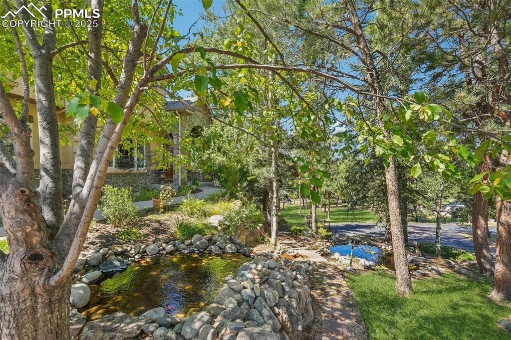 Image 34 of 39: Yard