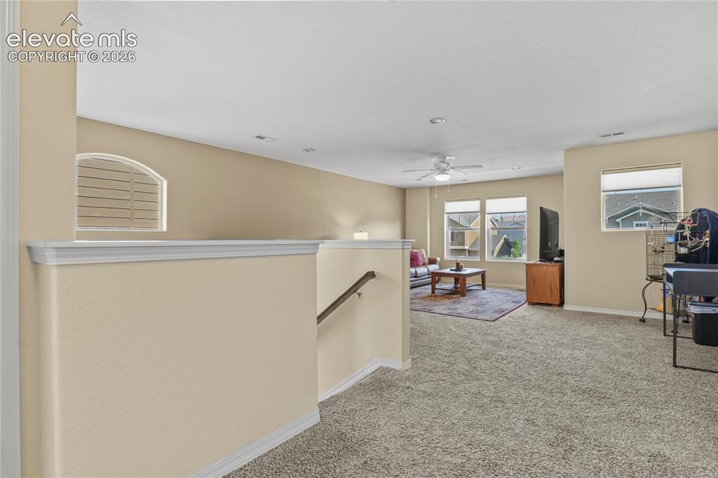 Image 19 of 39: Other