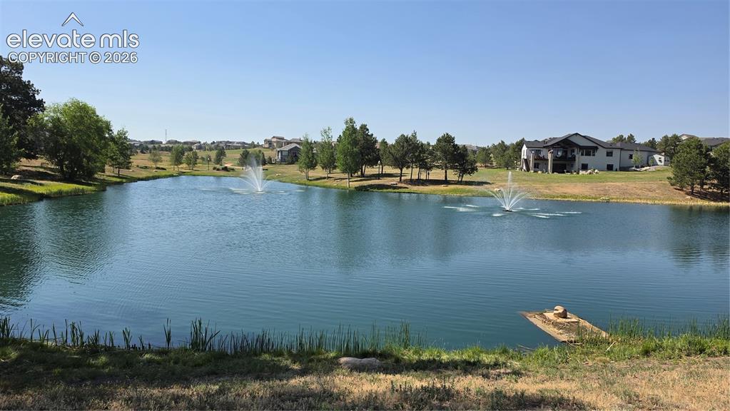 Image 45 of 45: neighborhood pond