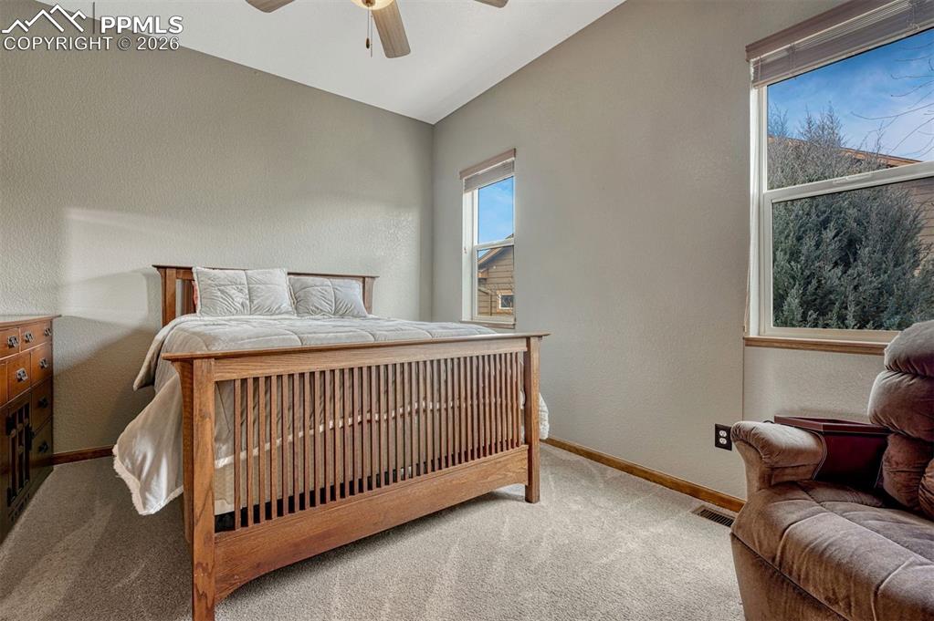 Image 19 of 45: 2nd main level Bedroom with light colored carpet, a textured wall, and a ce
