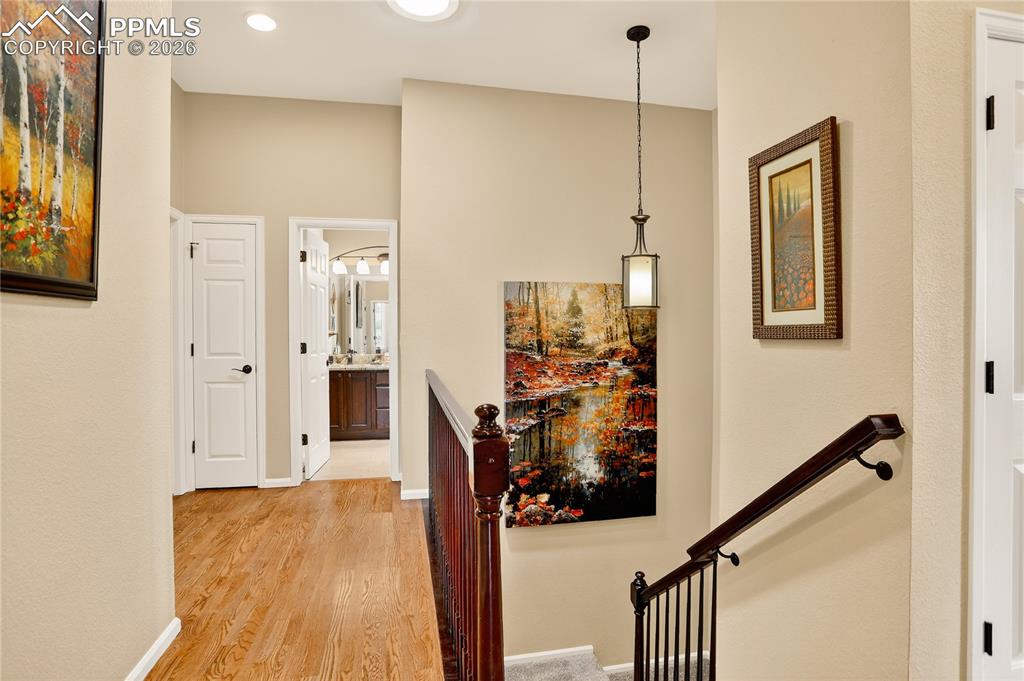 Image 22 of 40: Other