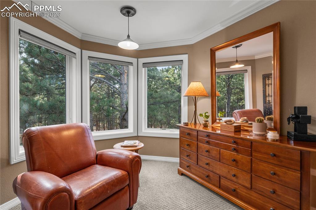Image 23 of 38: Gorgeous sitting area in the Primary Bedroom, read a book and relax here.