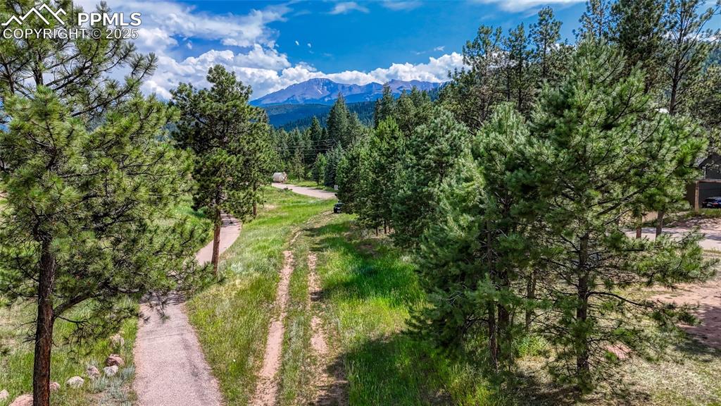Image 6 of 38: Connects to the Woodland Trail System