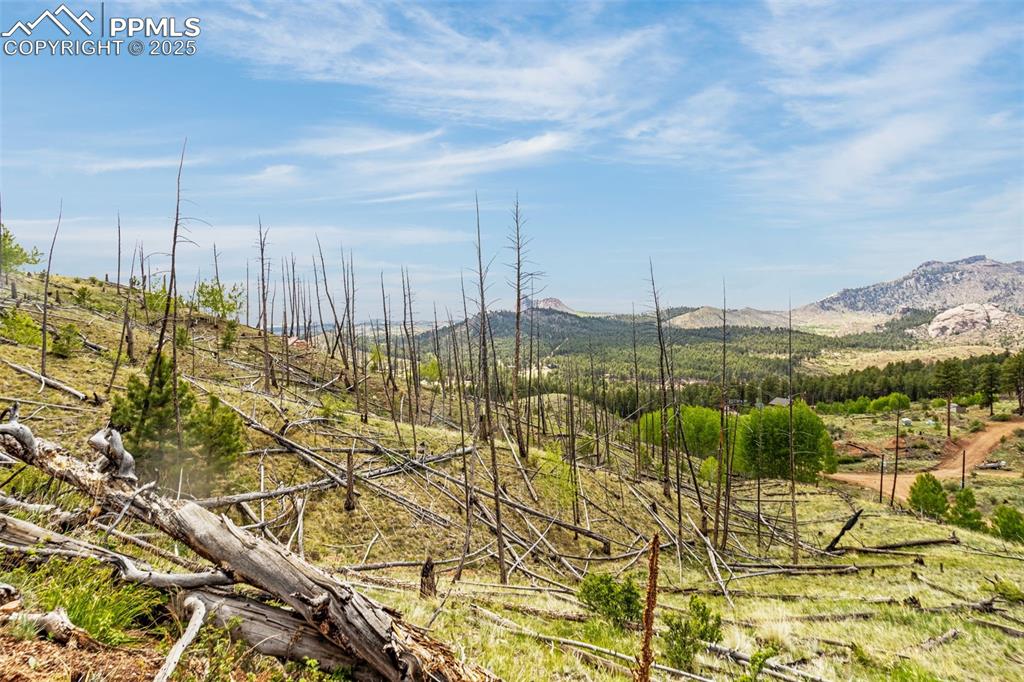 Image 10 of 20: View