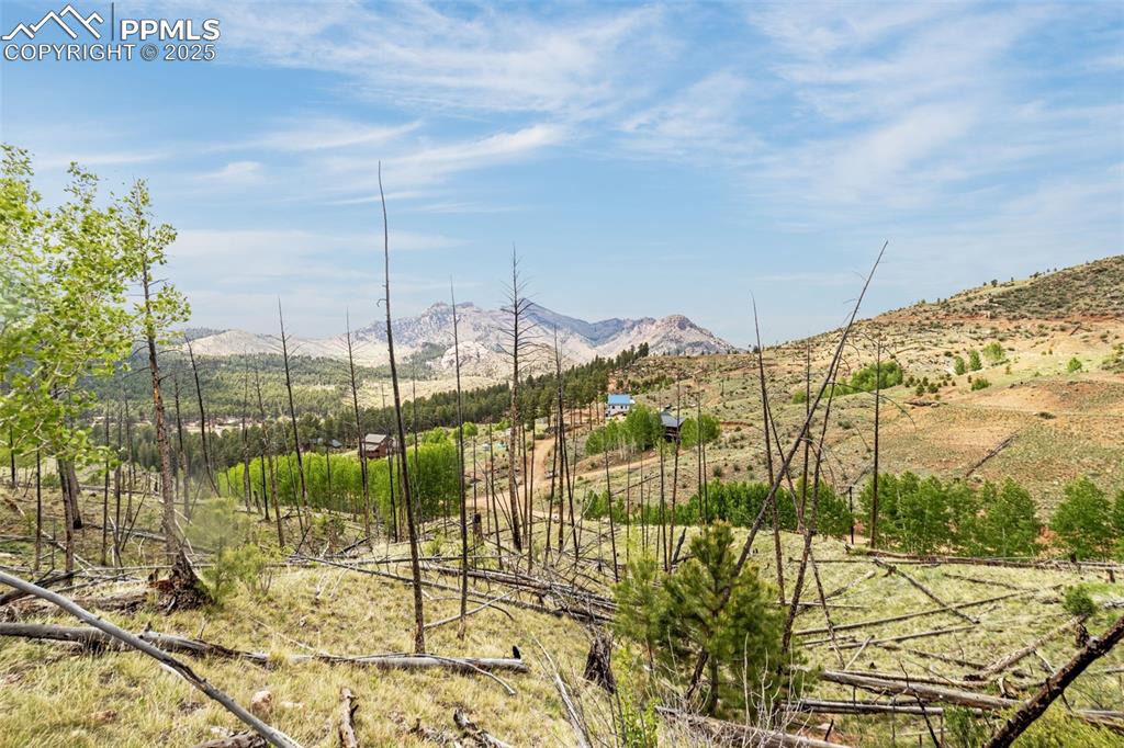 Image 11 of 20: View