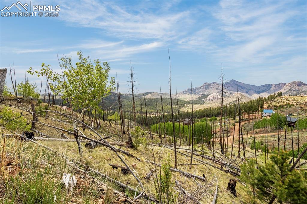 Image 12 of 20: View