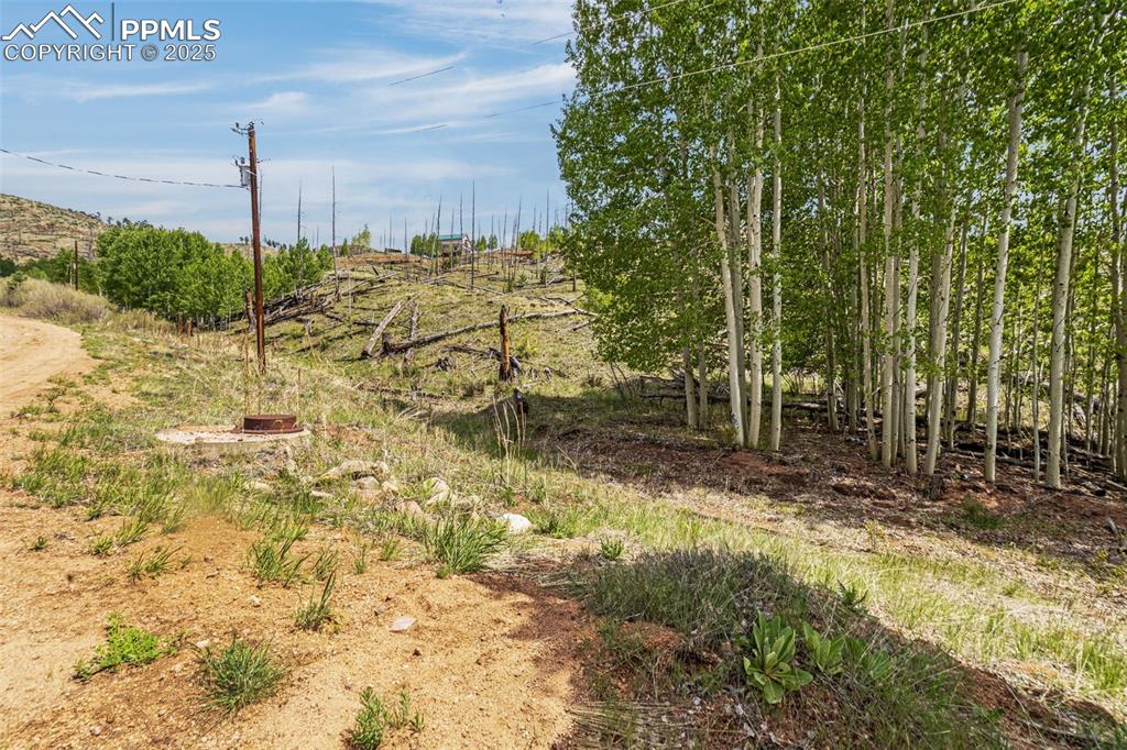 Image 13 of 20: Other