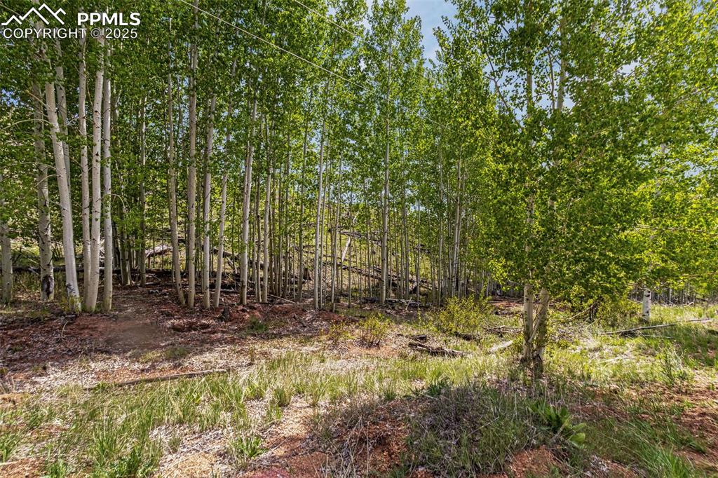 Image 14 of 20: Other