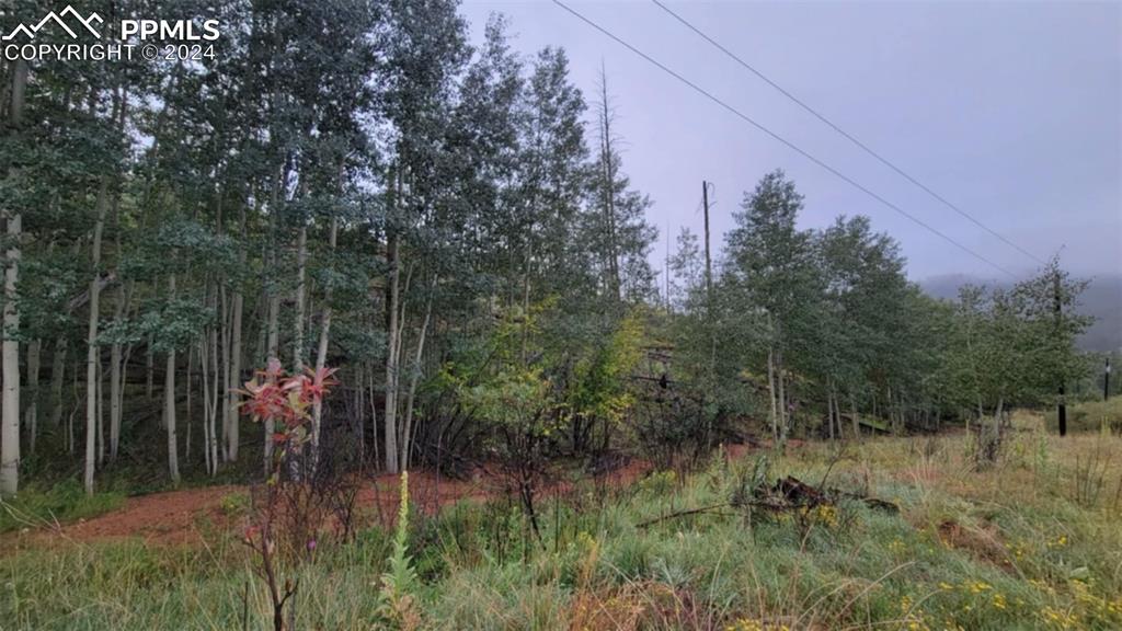 Image 15 of 20: Other