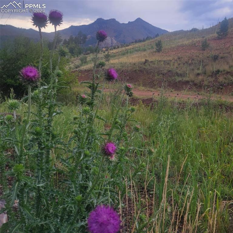 Image 17 of 20: View