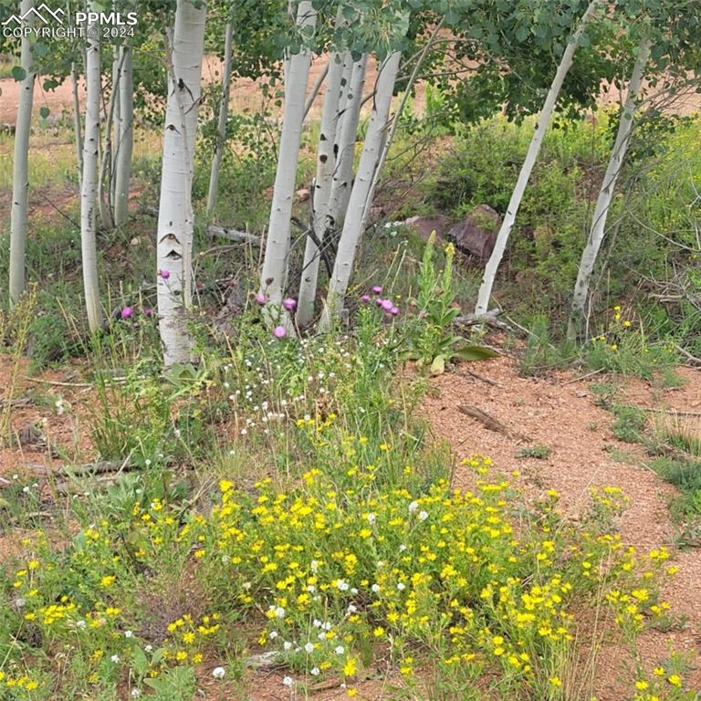 Image 19 of 20: Other