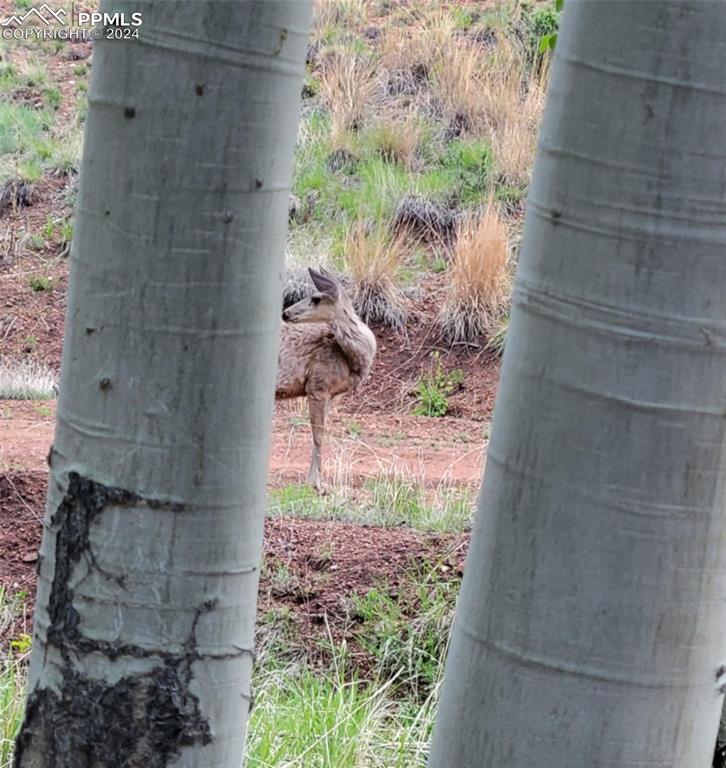 Image 20 of 20: Other