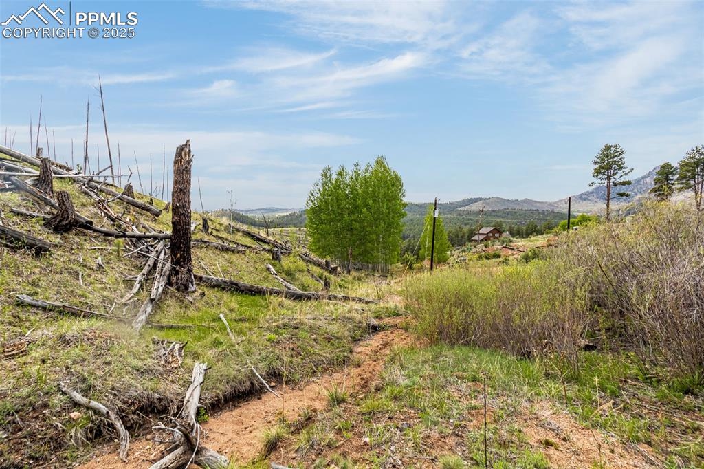 Image 4 of 20: Other