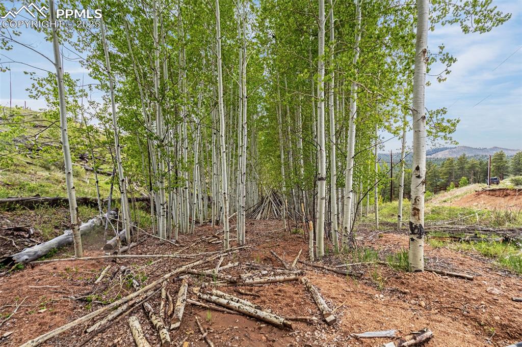 Image 5 of 20: Other