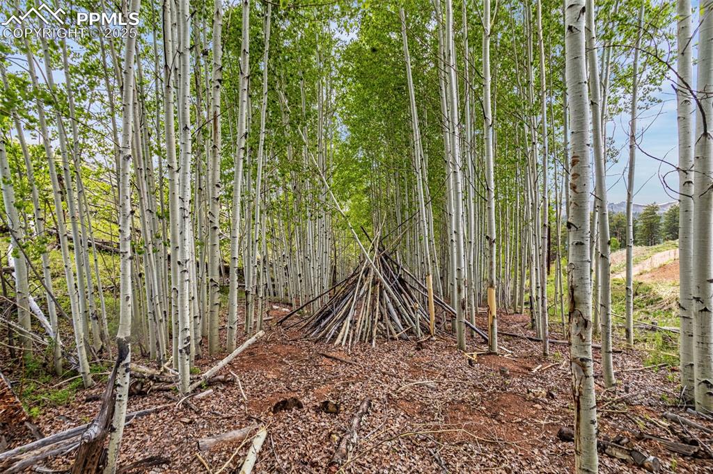 Image 6 of 20: Other