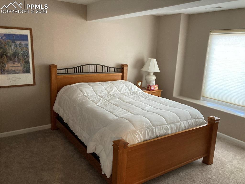 Image 10 of 12: Second bedroom in the basement with a walk-in closet.