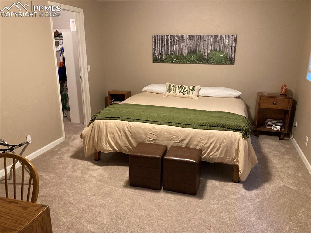 Image 9 of 12: Basement bedroom with large walk-in closet.