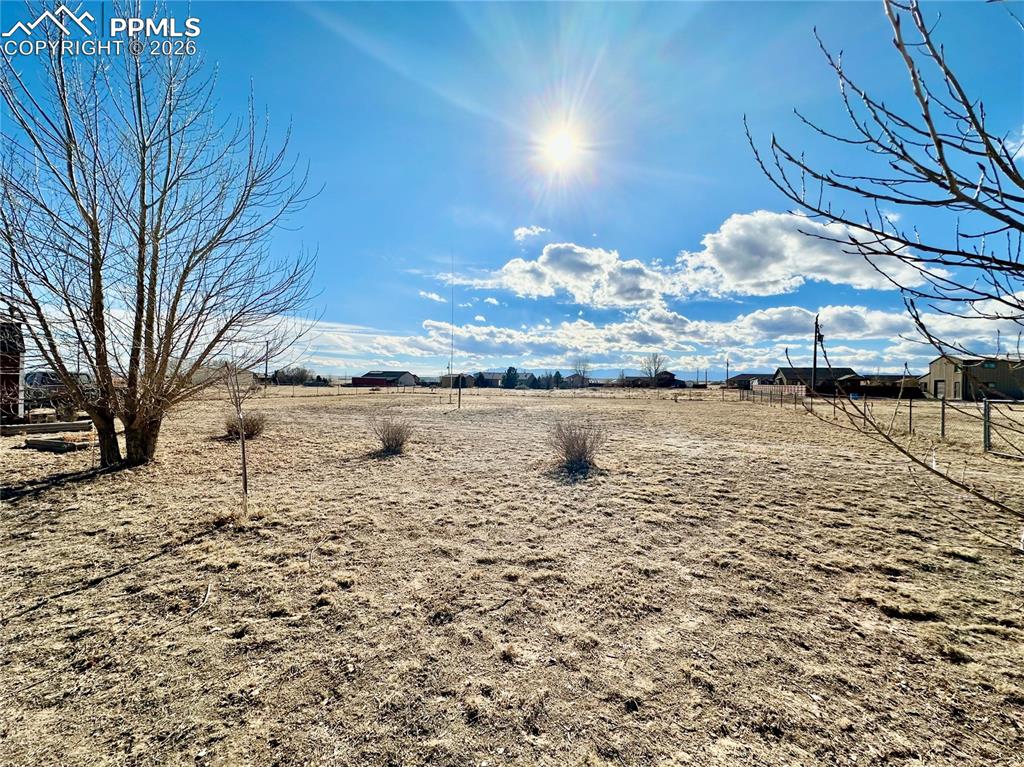 Image 24 of 26: Yard