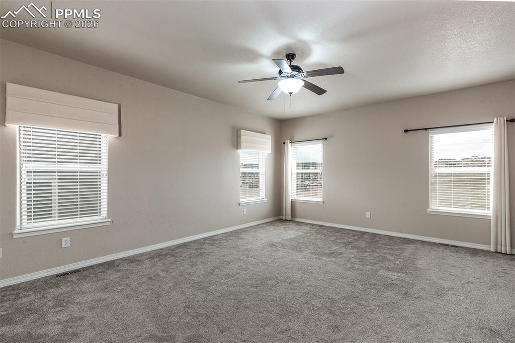 Image 20 of 36: Other