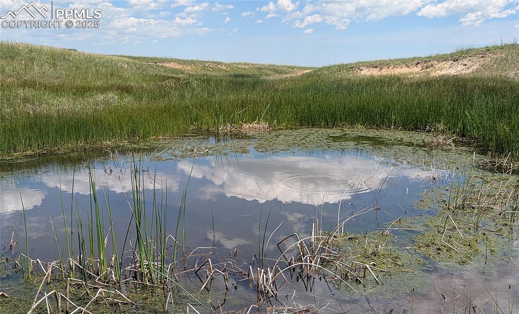 Image 2 of 24: Several seasonal ponds near the back of the property.