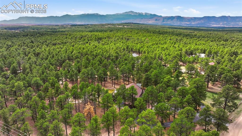 Image 46 of 50: Aerial View