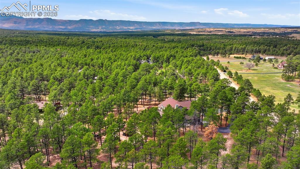 Image 47 of 50: Aerial View