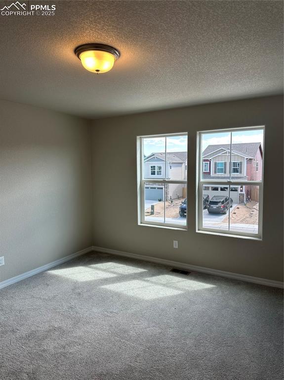 Image 9 of 11: Other