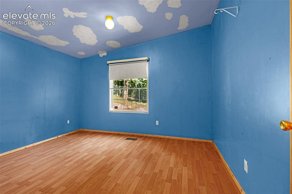 Image 17 of 27: Wood-finish flooring with blue walls and a painted ceiling design