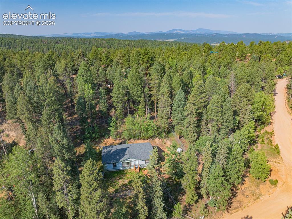 Image 23 of 27: Wooded acreage with a single-story residence and a gravel drive
