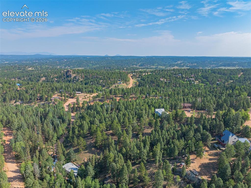 Image 25 of 27: Expansive wooded landscape with scattered residential properties