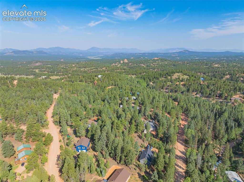 Image 26 of 27: Aerial view showcasing a sprawling forested property with mature coniferous