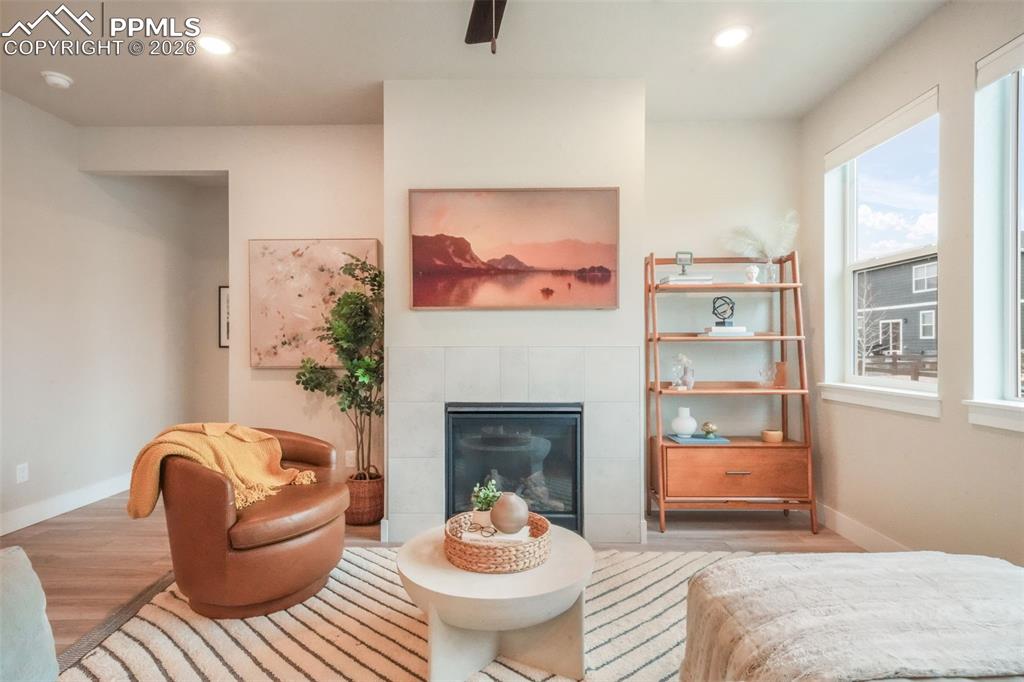 Image 6 of 50: Other