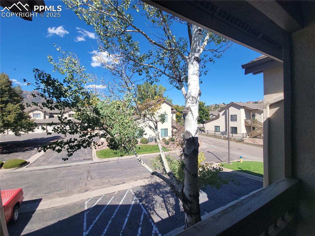 Image 17 of 19: Other