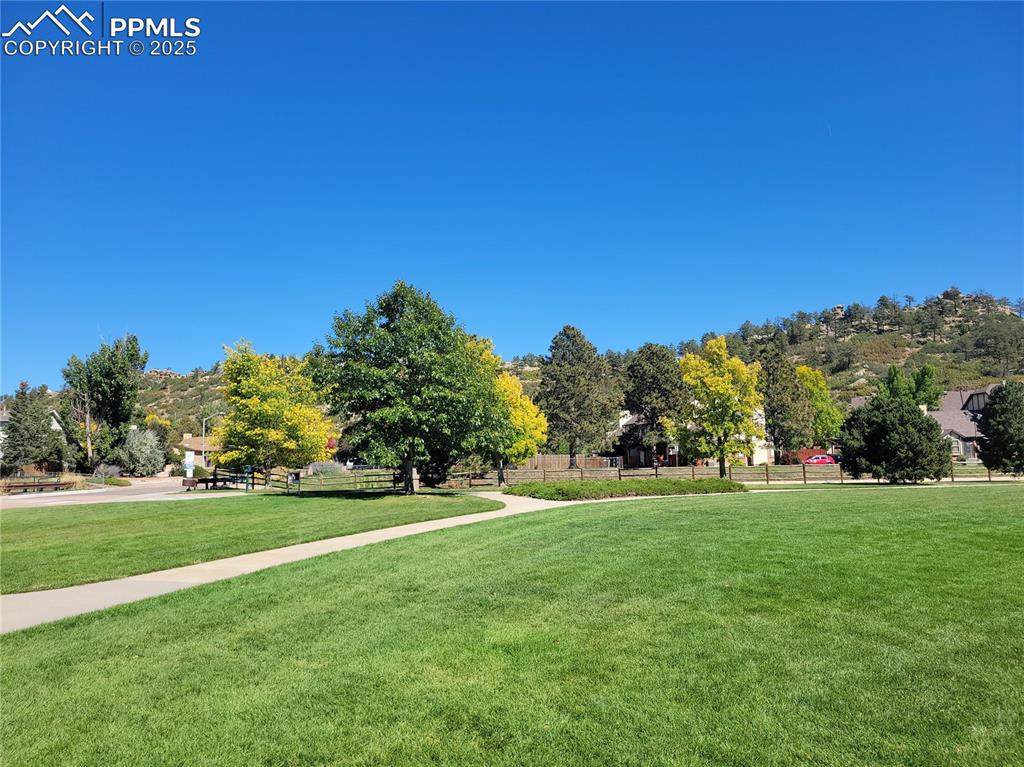 Image 5 of 19: Community