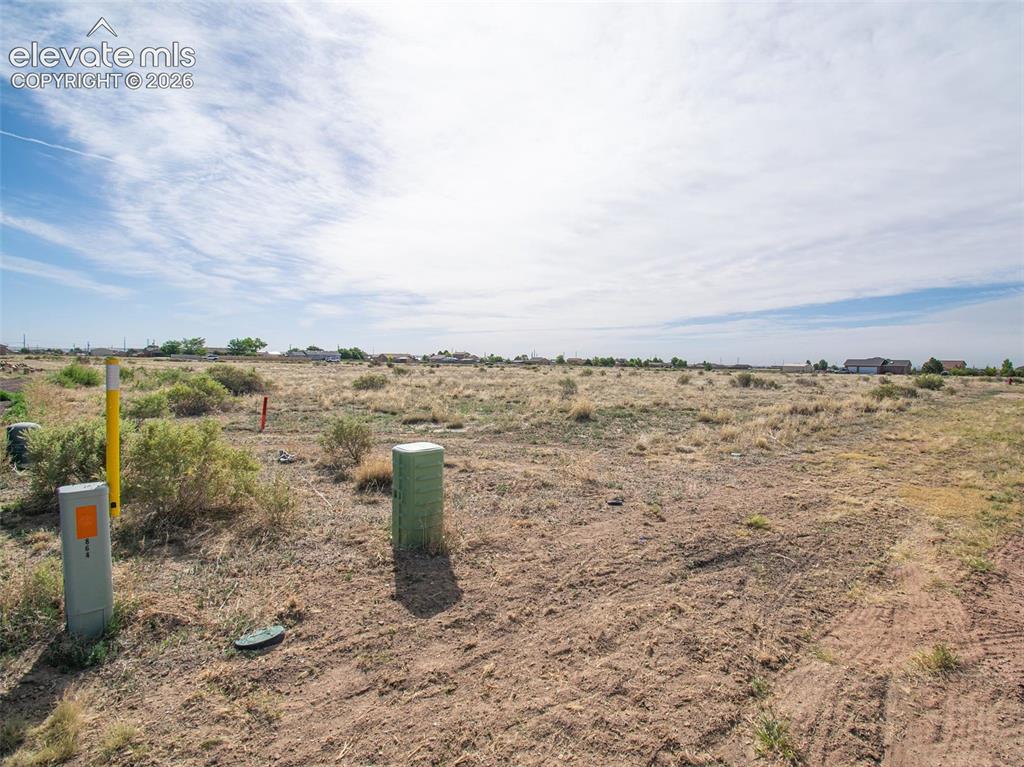 Image 8 of 8: Yard