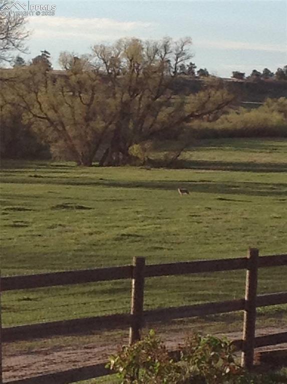 Image 11 of 24: Yard