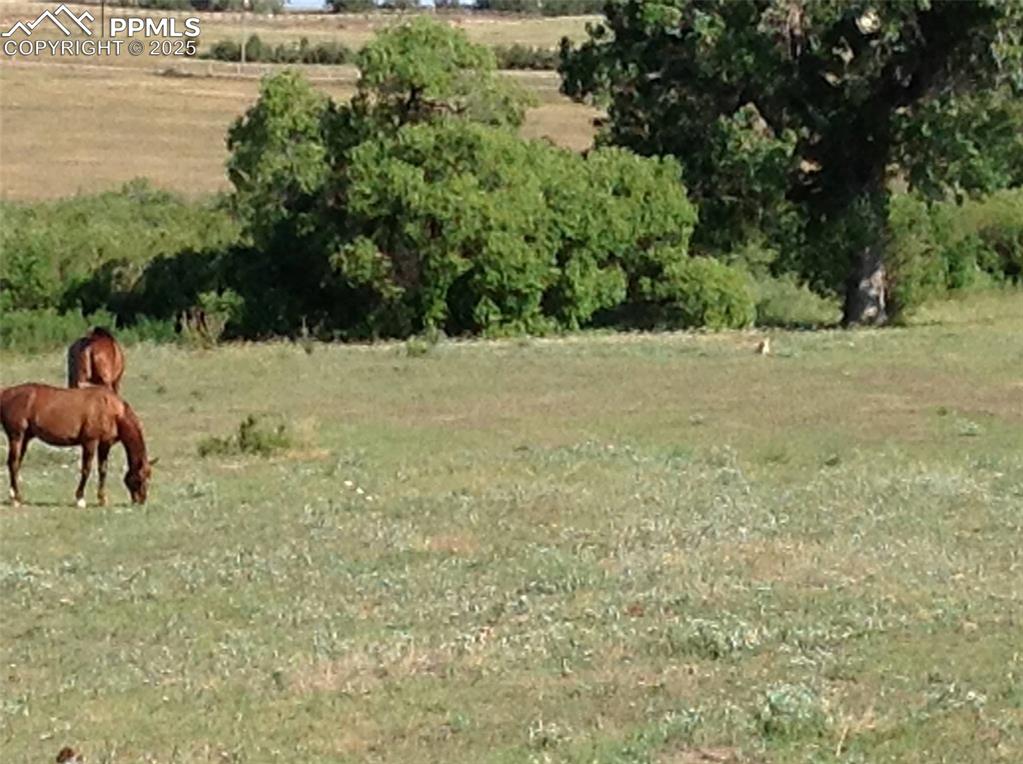 Image 13 of 24: Other