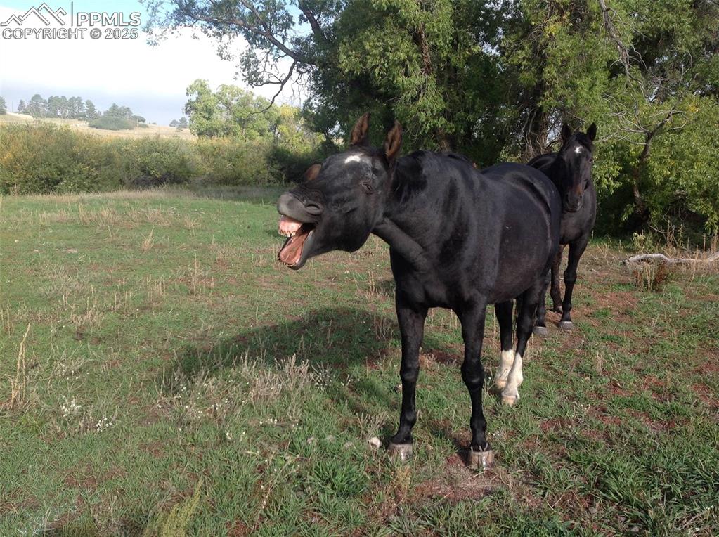 Image 15 of 24: Other