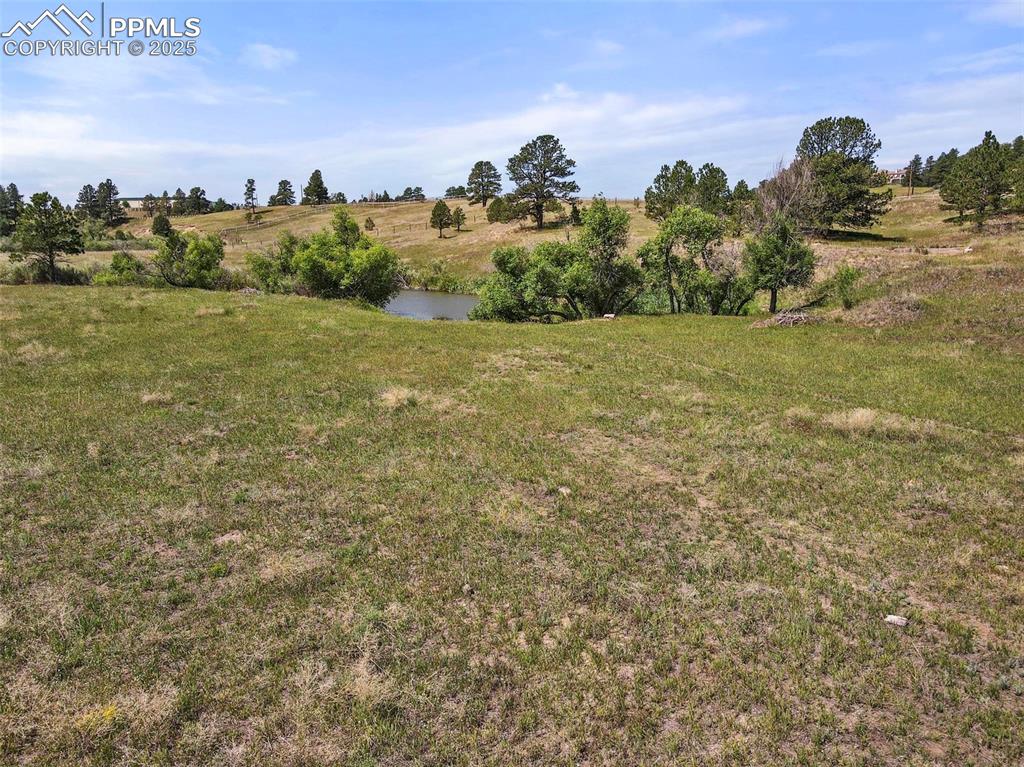 Image 21 of 24: Yard