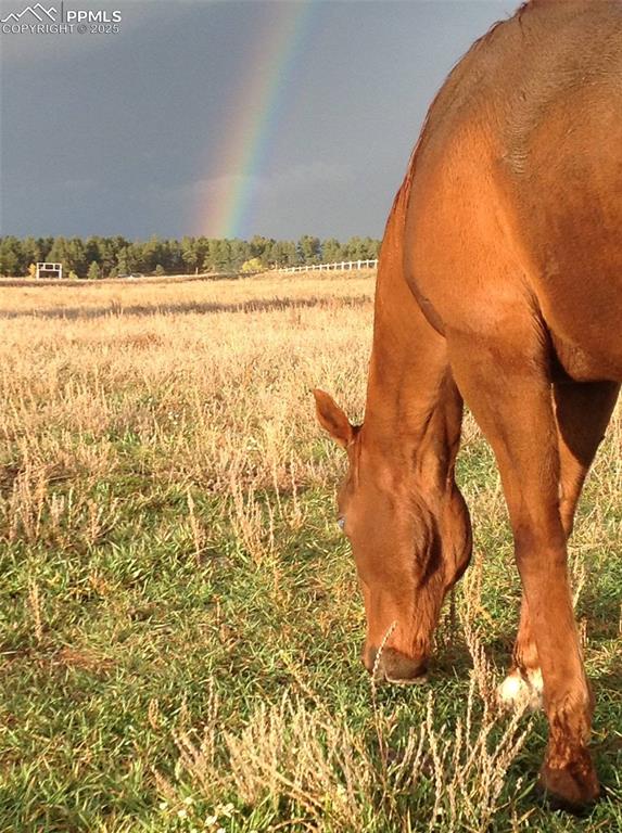 Image 6 of 24: Other