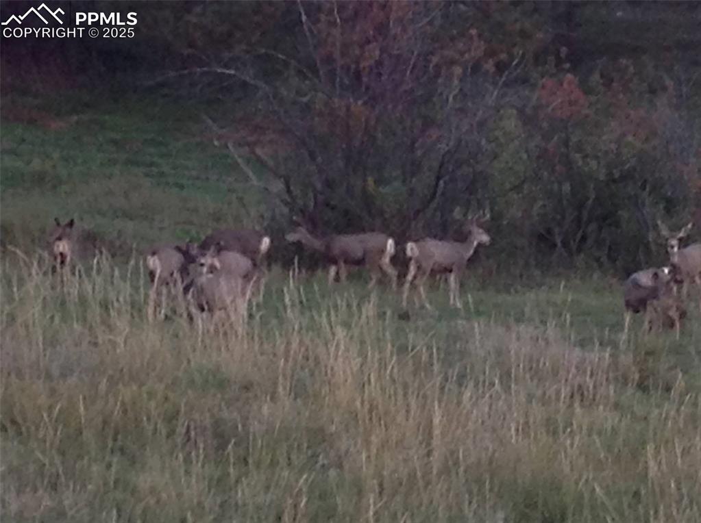 Image 9 of 24: Other