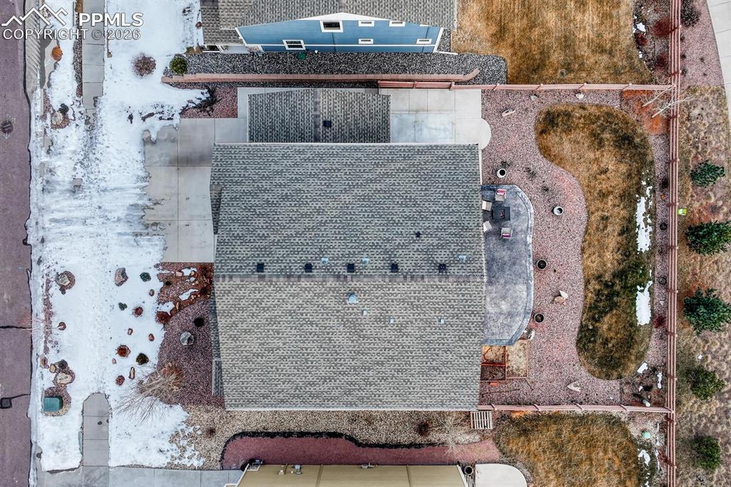 Image 46 of 50: Bird