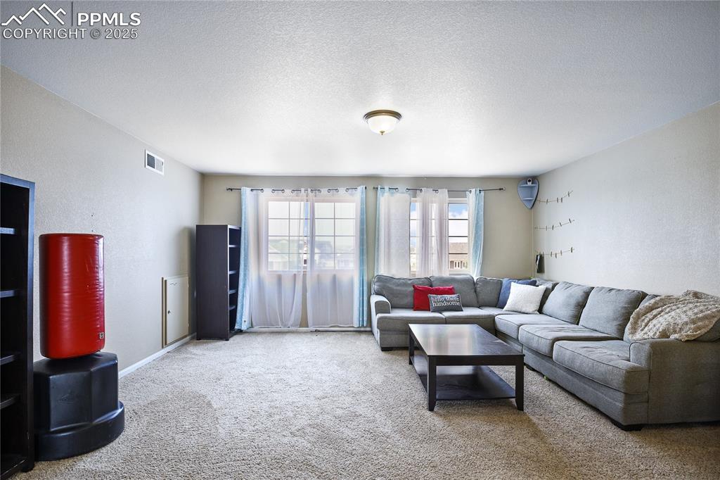 Image 35 of 38: Living room featuring carpet and a textured ceiling