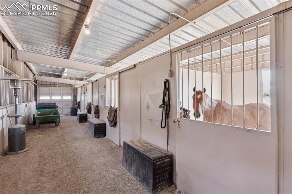 Image 31 of 50: Interior of Equestrian Center Stables