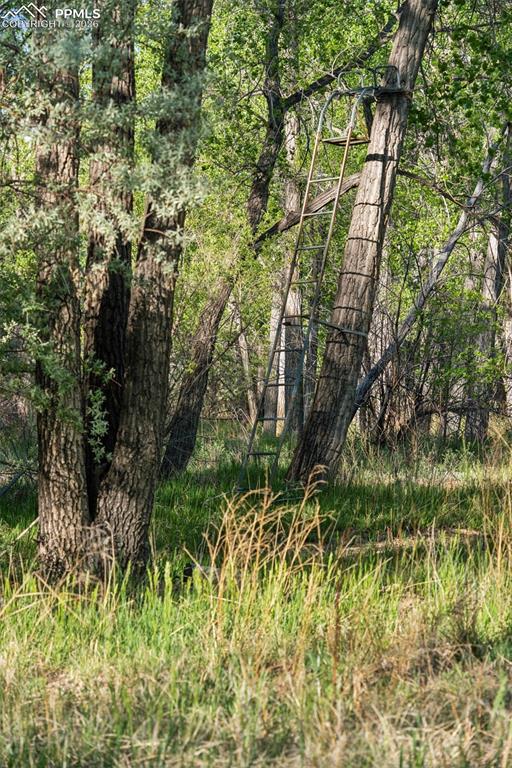 Image 48 of 50: Deer Stand (may be removed at owner