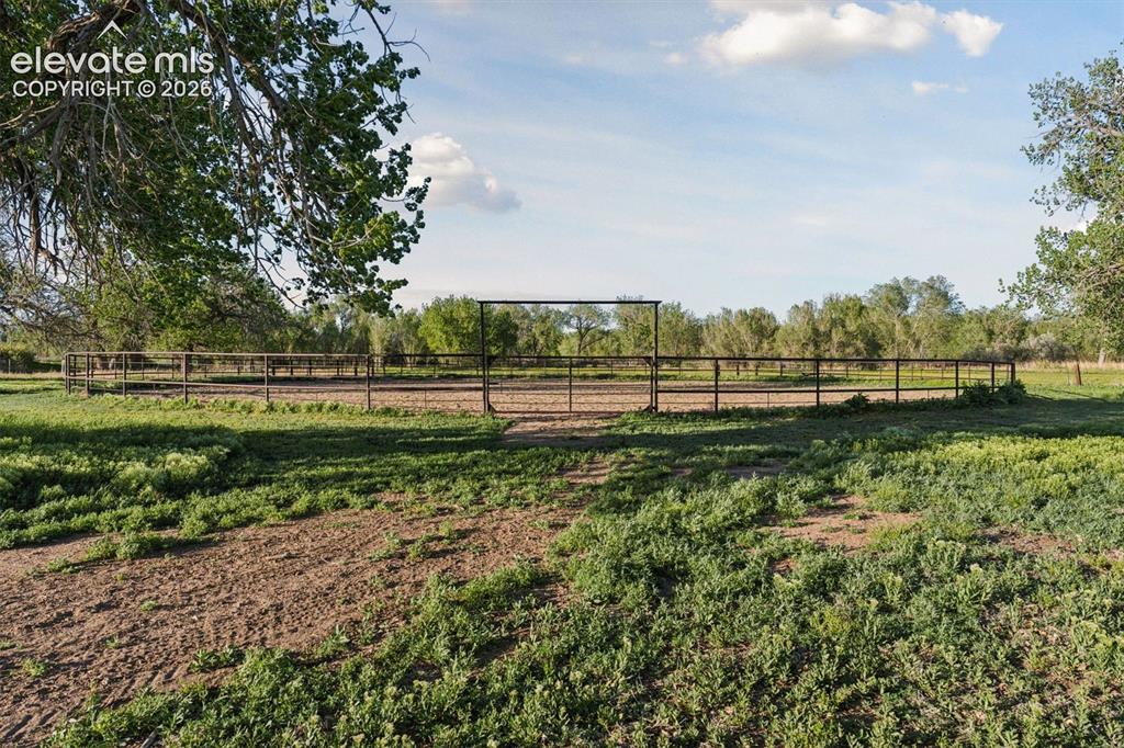 Image 9 of 50: Outdoor Round Pen